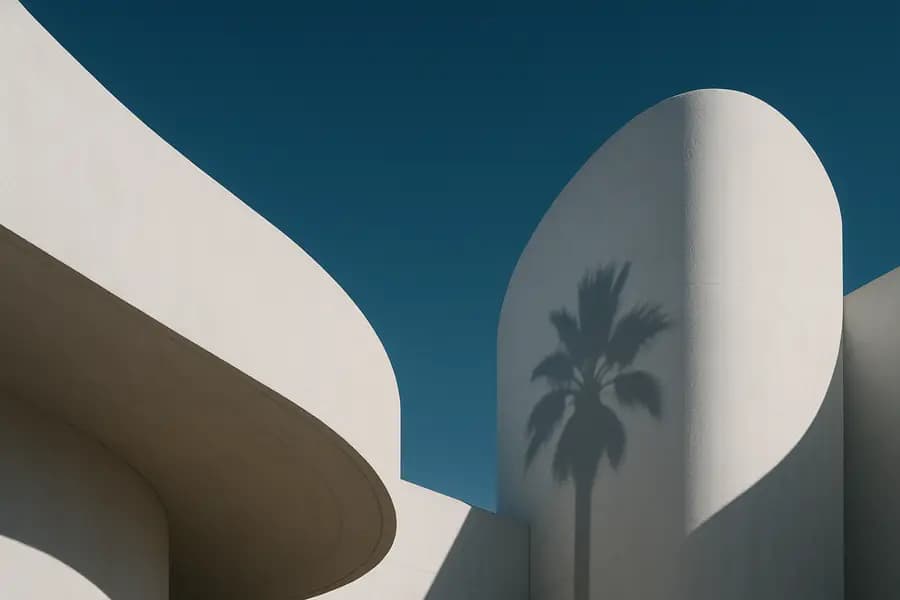 Minimal white curved architecture with a palm shadow