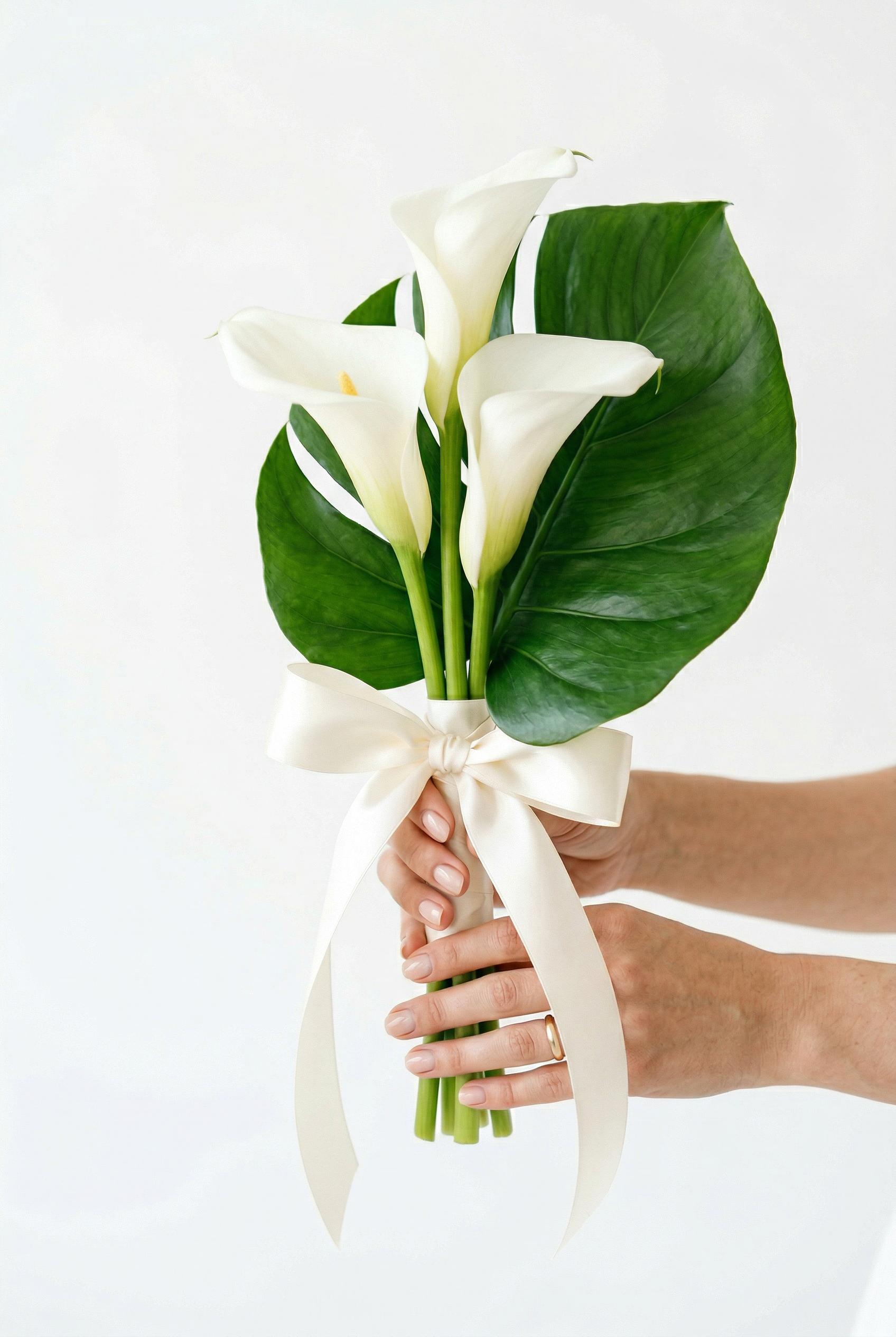 A minimalist bridal bouquet consisting of exactly three pristine white calla lily stems with their elegant elongated tru