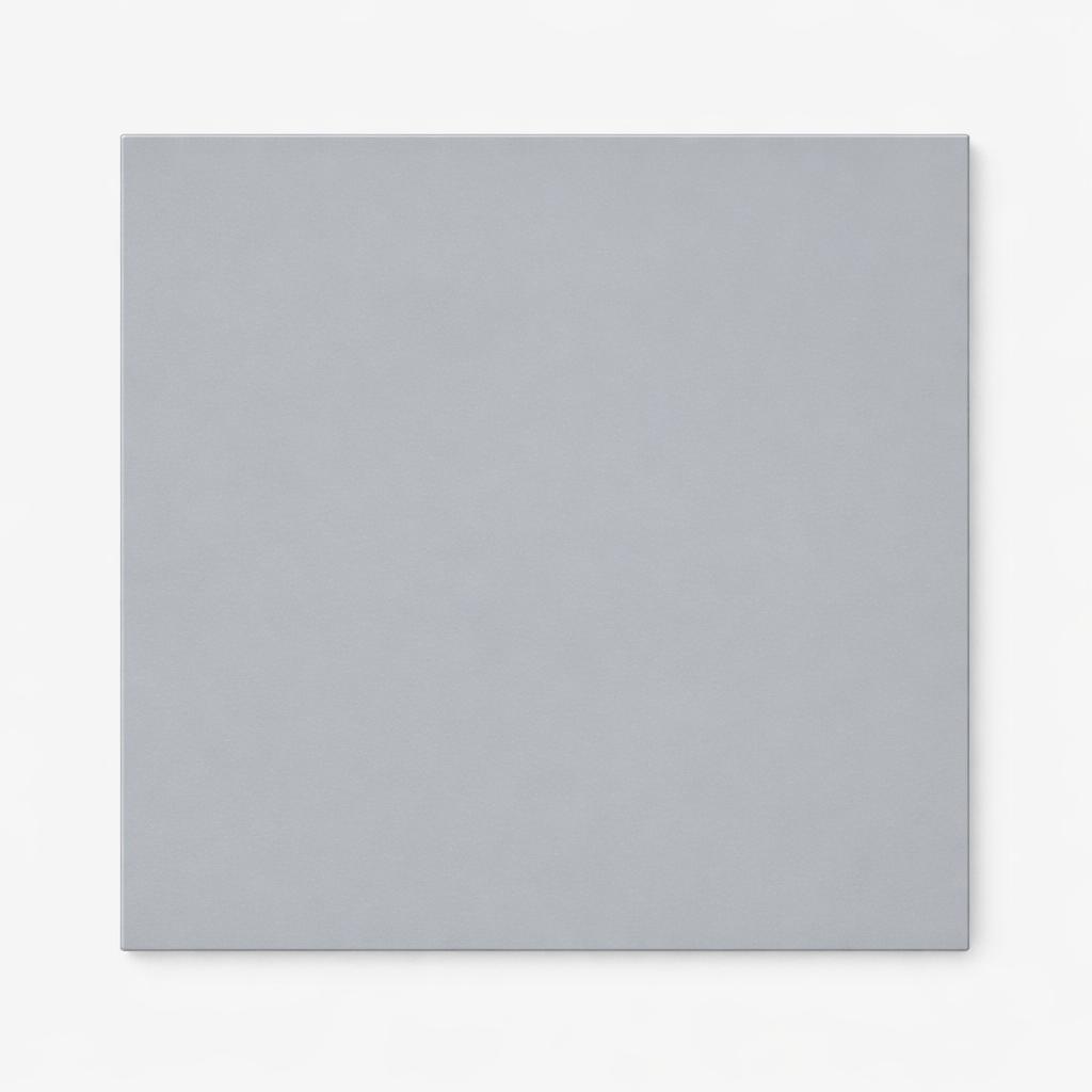 A single flat-lay product photograph of a Flat Panel kitchen cabinet door panel. Material: MDF. Color: Light Gray. Finis